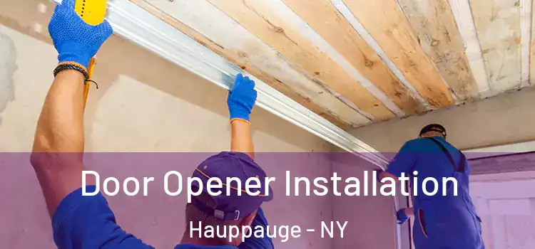 Door Opener Installation Hauppauge - NY