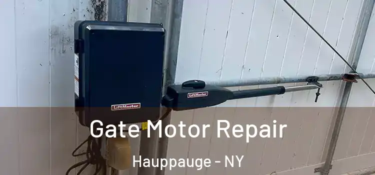 Gate Motor Repair Hauppauge - NY