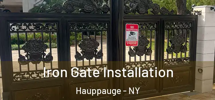 Iron Gate Installation Hauppauge - NY