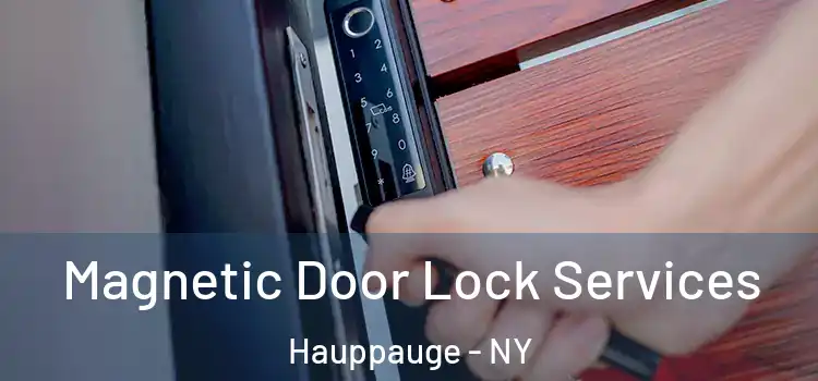 Magnetic Door Lock Services Hauppauge - NY