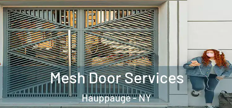 Mesh Door Services Hauppauge - NY