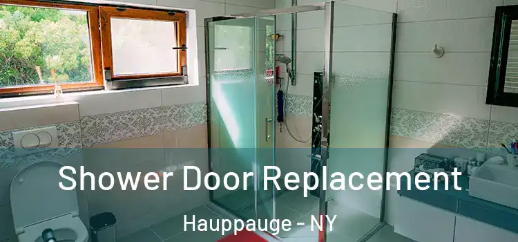 Shower Door Replacement Hauppauge - NY