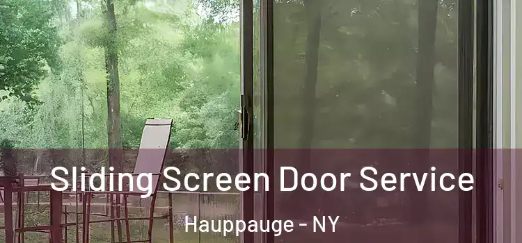Sliding Screen Door Service Hauppauge - NY